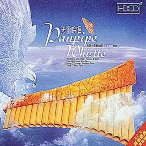 孙俪拍的特黄录像
